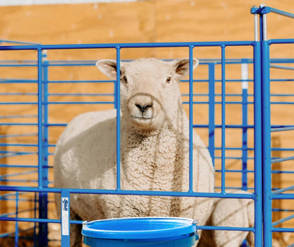 Sydell Freestanding Starter Pen | #0112A | 6' Width | For Sheep & Goat Lambing & Kidding