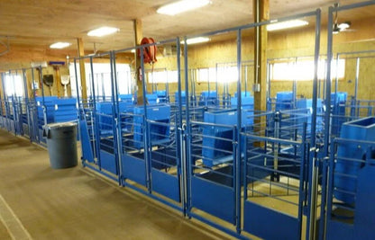 Sydell Deluxe Lambing & Kidding Pens | #0665B Series | 4'–6' Width | For Sheep & Goat Livestock Pens