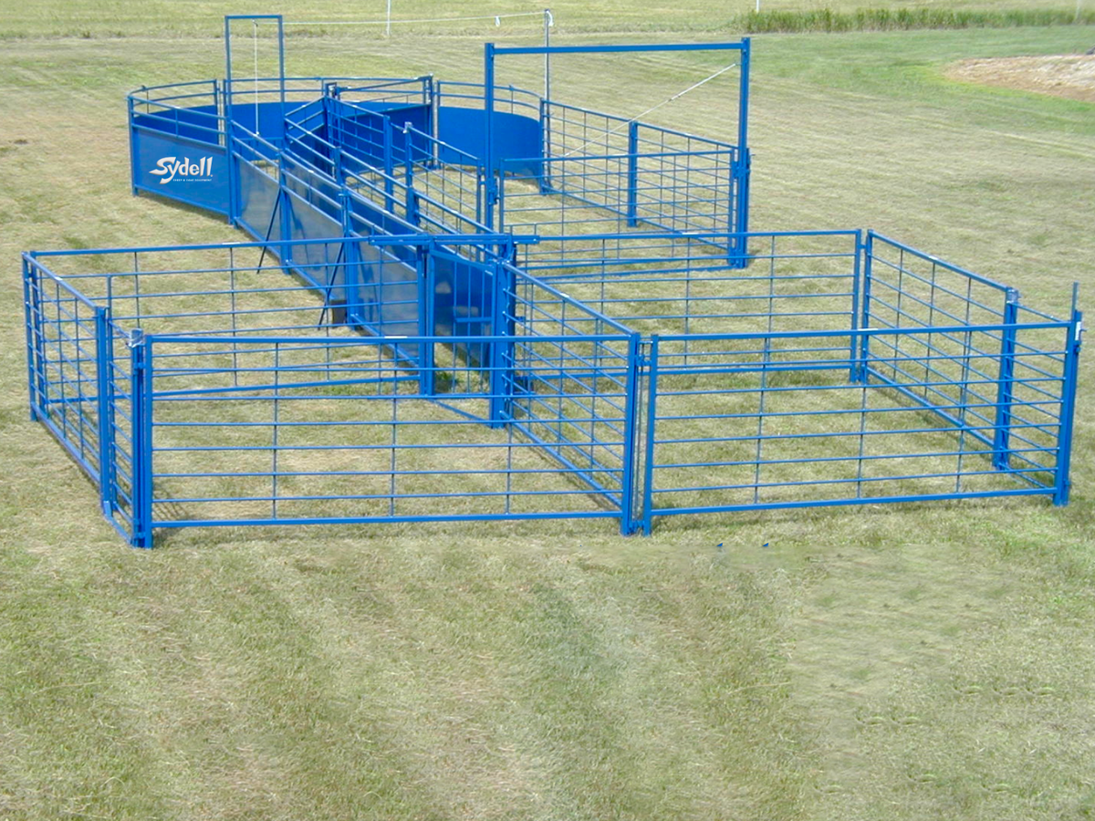 Sydell Complete Corral System A | #0991 | Length 50'5" | For Sheep & Goat Working System