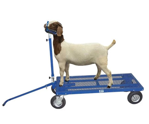 Sydell E.Z. Rider Wash Cart | #0785ERN | Smooth-Rolling | For Sheep & Goat Transport Cart
