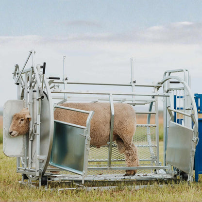 Sydell Deluxe Spin Doctor | #0938 | 46" Width | For Sheep & Goat Hoof Trimming & Handling