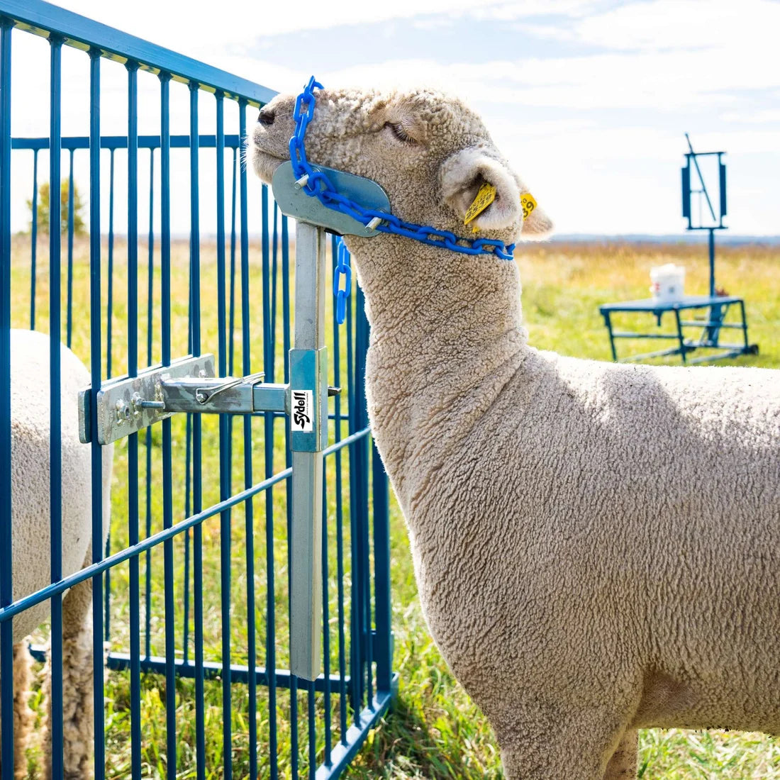 Sydell Portable Panel Mount Head Holder | #0729 | Panel-Mounted Animal Restraint | For Sheep & Goats