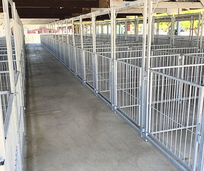 Sydell Multi-Species Vertical Fair Show Pen Panels | FPEV | 4'–10' Width | 42" Height | For Livestock