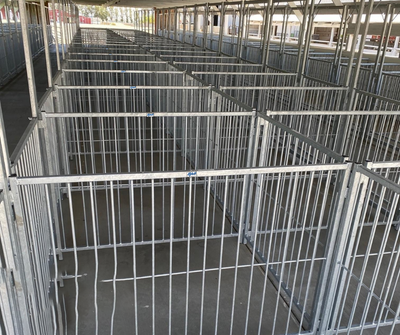 Sydell Vertical Fair Show Pen Panels | FPEV | Width 4' To 10' | For Multi-Species Livestock Pens