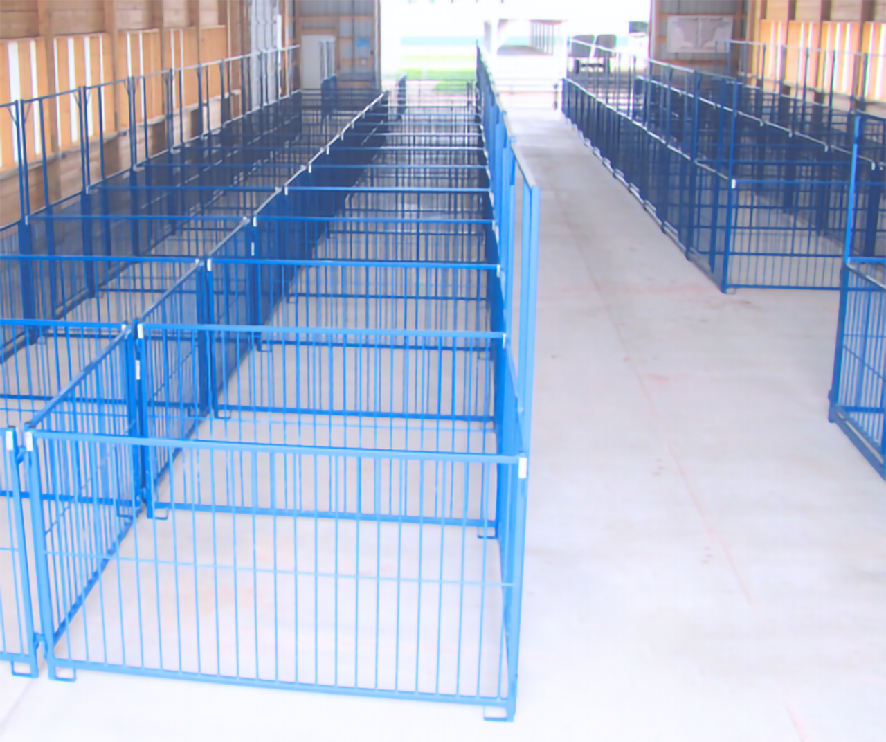 Sydell Multi-Species Vertical Fair Show Pen Panels | FPEV | 4'–10' Width | 42" Height | For Livestock