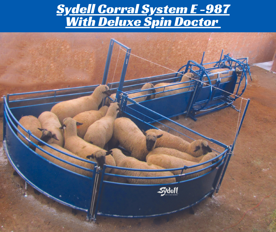 Sydell Sheep & Goat Working System E | #0987-L / #0987-R | 20'1" x 9'4" | 975 lb | For Sheep & Goat
