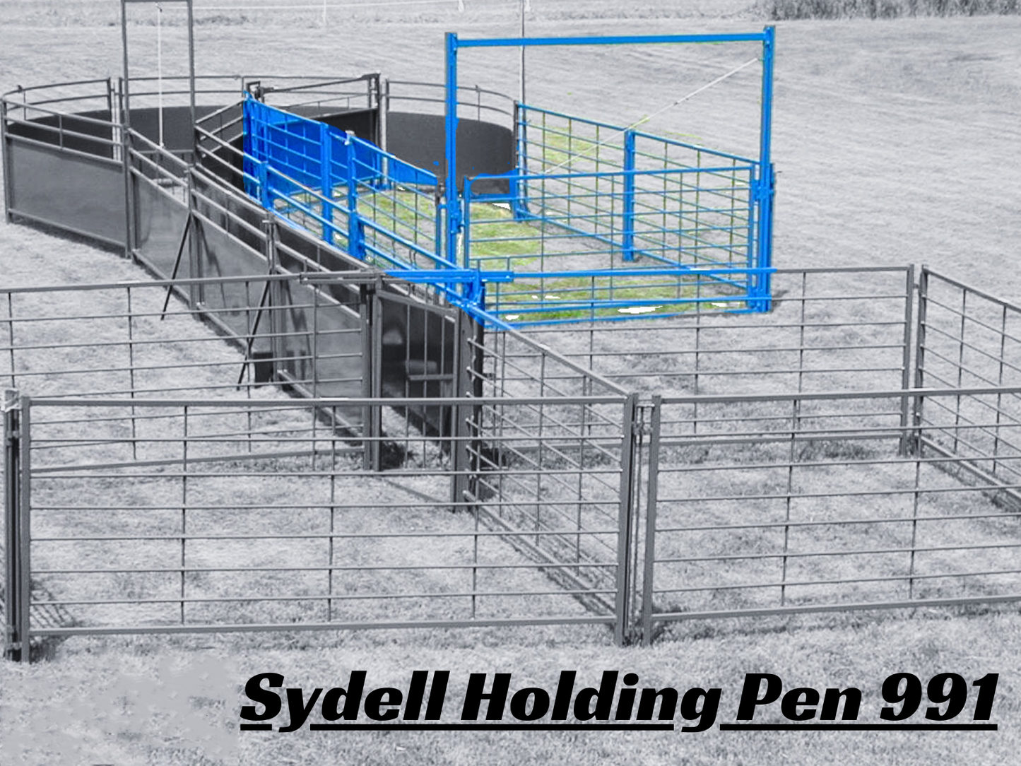 Sydell Holding Pen | #0991PEN | 96" Corral Panels | For Sheep & Goat Livestock Handling System