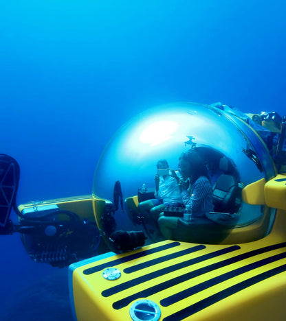 Triton Submarines | Triton 1650/3 Low Profile | Three-Person Submersible