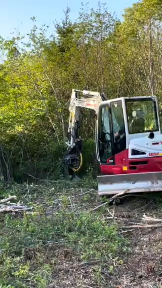 Forax Feller Buncher | Thinning Head with Hydraulic Collector Arms | Model TH28 | Machine Size 6–10 Tons | For Excavators