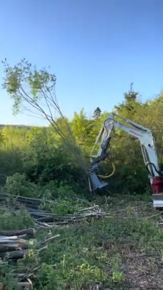Forax Feller Buncher | Thinning Head with Hydraulic Collector Arms | Model TH28 | Machine Size 6–10 Tons | For Excavators