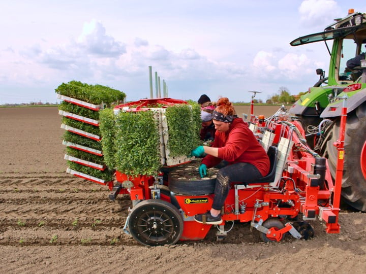 Checchi & Magli Transplanter TRIUM45 | 1-9 Rows | 79"-217" Frame Width | 19-95HP For Tractor