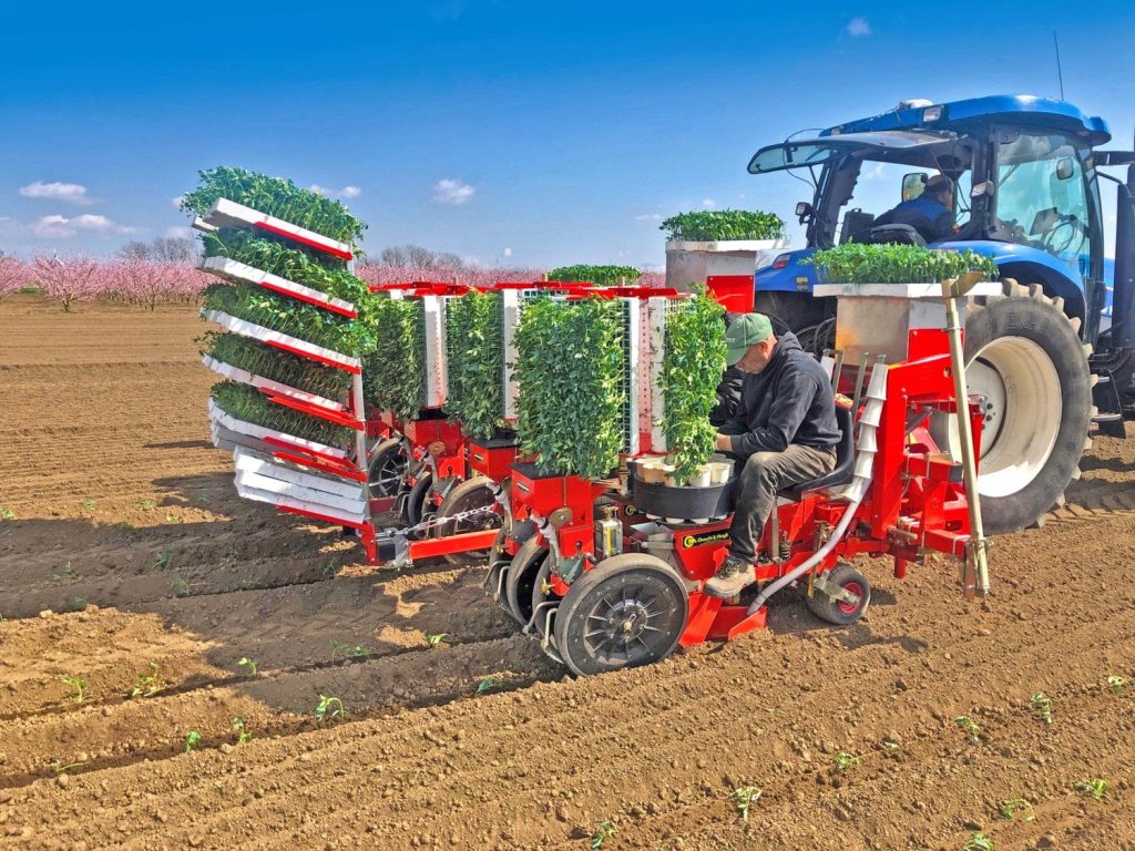 Checchi & Magli Transplanter TRIUM45 | 1-9 Rows | 79"-217" Frame Width | 19-95HP For Tractor