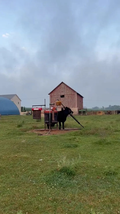 Easy Way Cattle Saver | Cattle Pest Control Station | Width Not Specified | For Livestock & Ranch Use