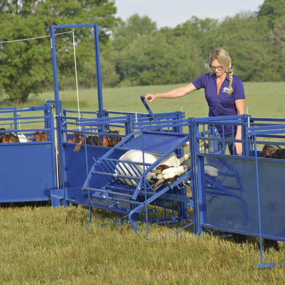 Sydell Tilt Table For Sheep & Goats | #0930 | Width 61" | For 100+ lb Livestock Hoof Trimming