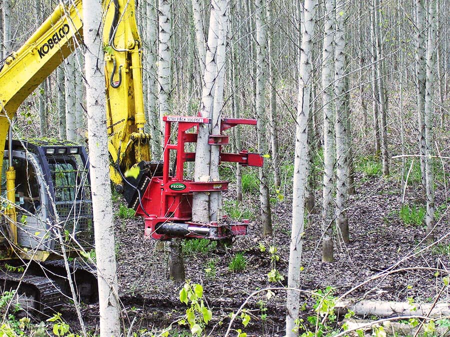 Fecon Tree Shear | Model FBSD1500SS & Bobcat Setup | Cutting Capacity 15" | 15–23 GPM | For Skid Steer & Compact Track Loader