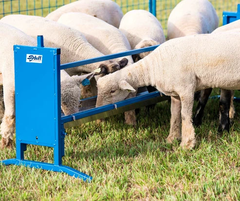 Sydell Bunk/Trough Grain Feeder | #0852F-4 / #0852F | 4' & 7' | Flat Trough | For Sheep & Goats