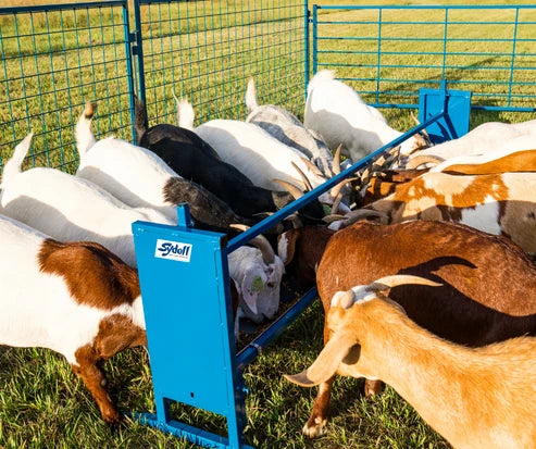 Sydell Bunk/Trough Grain Feeder | #0852F-4 / #0852F | 4' & 7' | Flat Trough | For Sheep & Goats