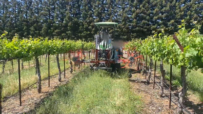 Agrishield Vineyard Sucker Remover | Width 72" | Horsepower 40-80 HP | For Tractors