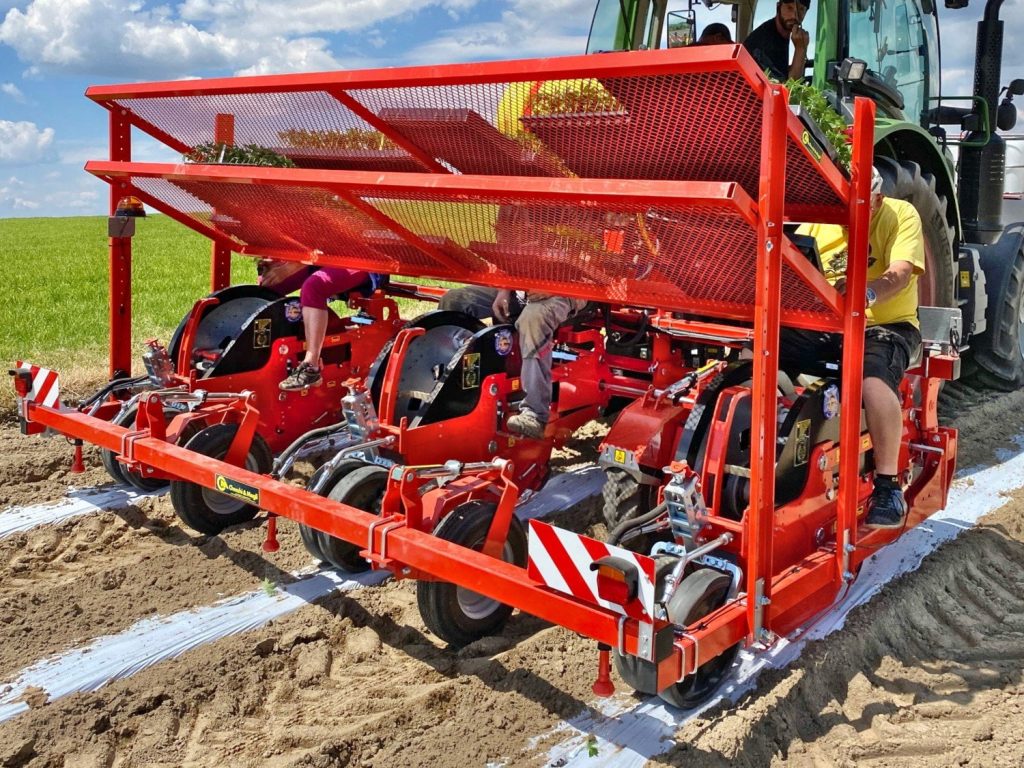 Checchi & Magli Transplanter WOLFPRO | 1-6 Rows | 79"-158" Frame Width | 19-70 HP For Tractor