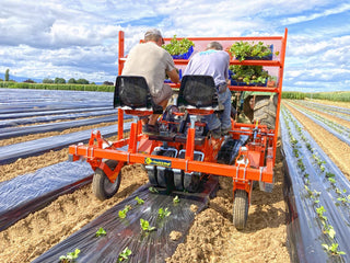 Checchi & Magli Transplanter Smartwolf Compact | Maximum Size 8 cm (3”) | 40-85 HP | For Tractors