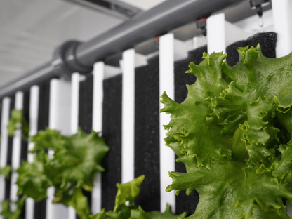 Freight Farms The Greenery | Hydroponic Container Farm | 40 x 8 feet Linear Growing Space