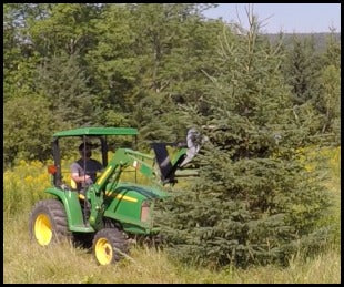 FORAX GP36 ATV AND GP40 GAS POWERED MULCHER FOR TRACTOR