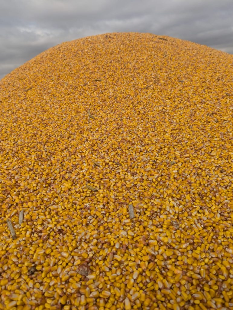 Razor Edge Concaves Variable Spacing Threshing System | 24–30" Rotor | 230–500+ HP | For John Deere, Case IH, Fendt, New Holland Combine