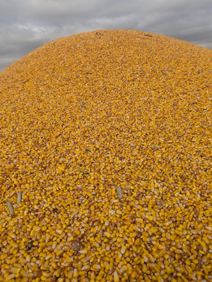 Razor Edge Concaves Variable Spacing Threshing System | 24–30" Rotor | 230–500+ HP | For John Deere, Case IH, Fendt, New Holland Combine