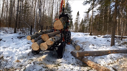 Woody Equipment 9' 9'' Forestry Trailer Model 10-66 HV with Gooseneck Log Loader Model 115 HD | Pull Type | For Tractors
