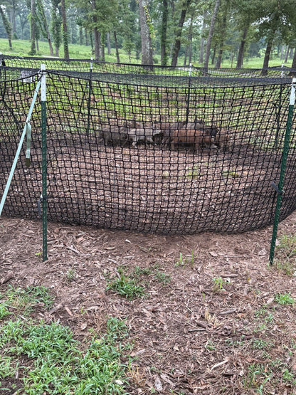 Pig Brig Portable Multi-Catch Wild Hog Trap | Size 20' | Double-Wall Hog Trap Net | Multi-Catch Wild Boar Control