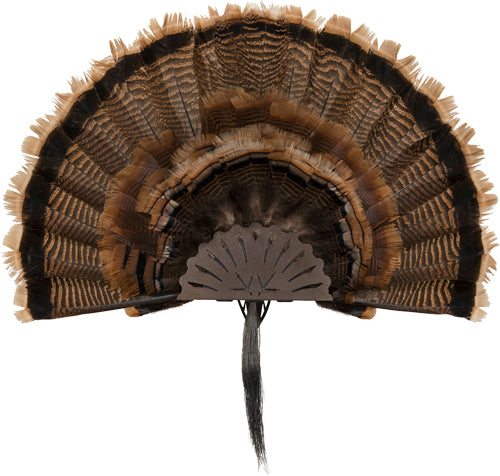 Allen Ez Mount Turkey - Fan Display Brown