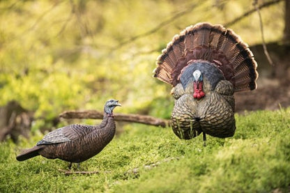 Flextone Thunder Creeper - Strutter Decoy W/ Folding Fan