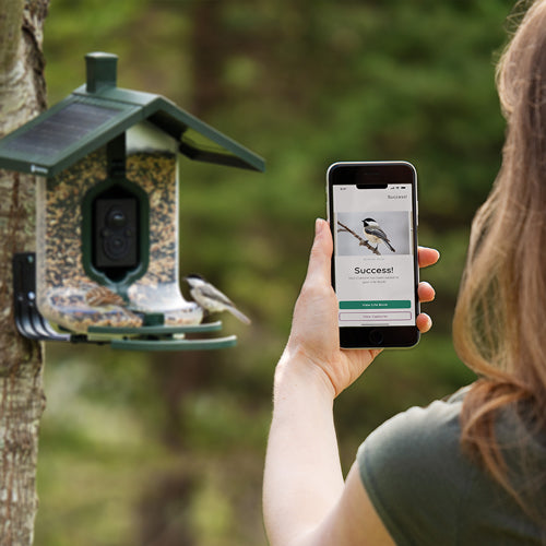 Feathersnap Scout Birdfeeder - Wi-fi Solar Powered W/ Camera