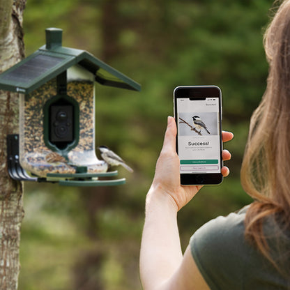 Feathersnap Scout Birdfeeder - Wi-fi Solar Powered W/ Camera