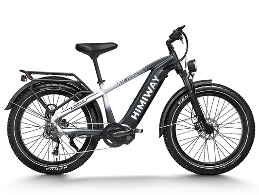 Himiway D5 Pro Premium All-terrain Electric Fat Bike | 500W | 48V 20Ah