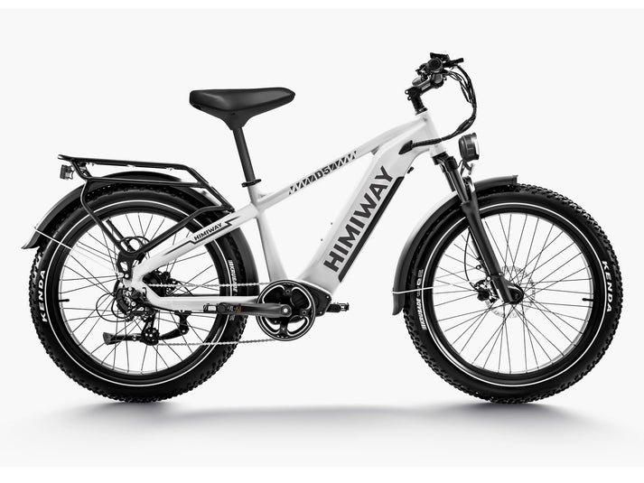 Himiway D5 (Zebra) | High Step | Premium All-terrain Electric Fat Bike