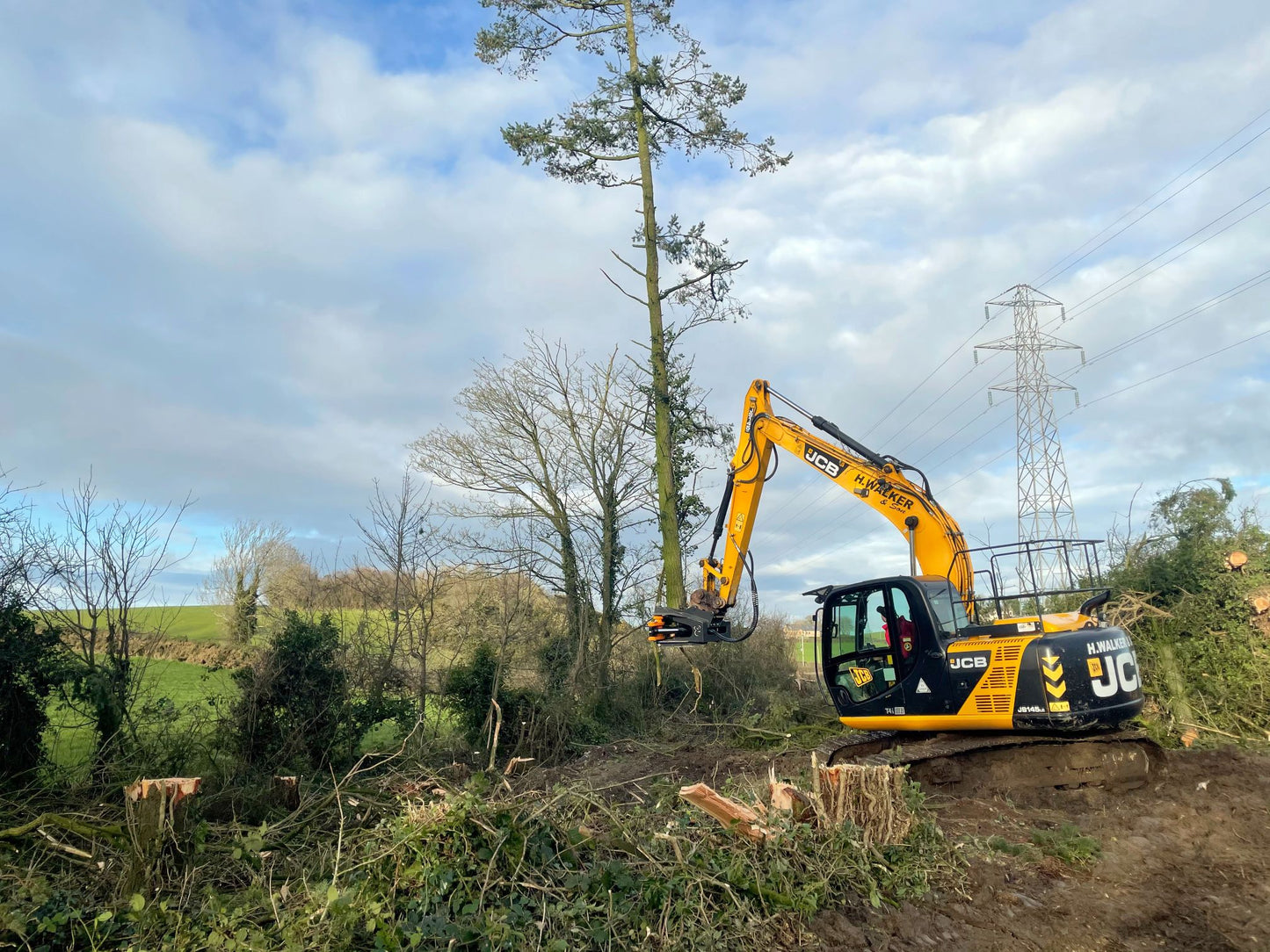 MDE Machinery Tree Shear With Buncher & Tilt |  6" To 21.5" Cutting Capacity | For Excavator