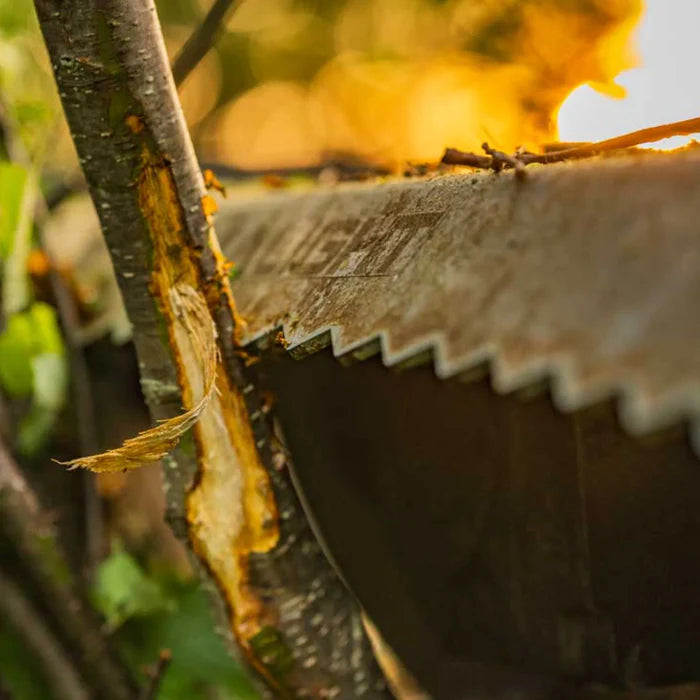 Baumalight MP348 Brush Mulcher | Cutting Width 48" | 25-40 HP | For PTO On Tractors