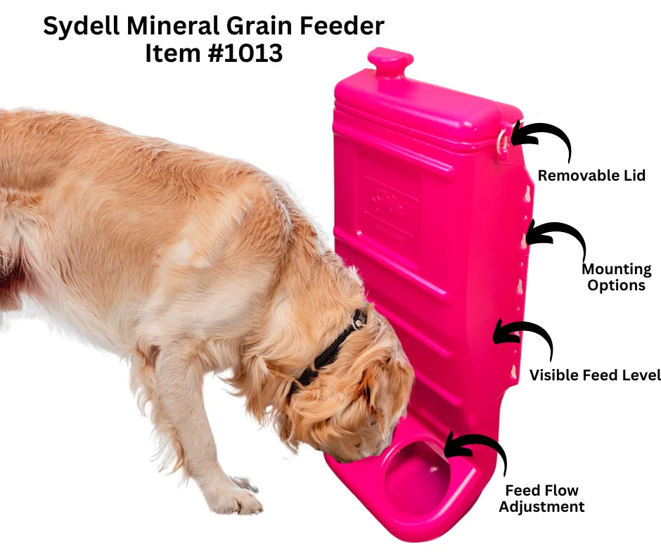 Sydell Pink Poly Mineral & Grain Feeder | #1012 | Capacity 25 lb | For Sheep, Goats & Small Livestock