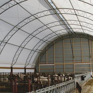 FarmTek ClearSpan HD BeefMaster™ Building System | Controlled Environment For Livestock