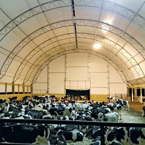 FarmTek ClearSpan HD BeefMaster™ Building System | Controlled Environment For Livestock