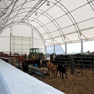 FarmTek ClearSpan HD BeefMaster Building System w/ White Cover