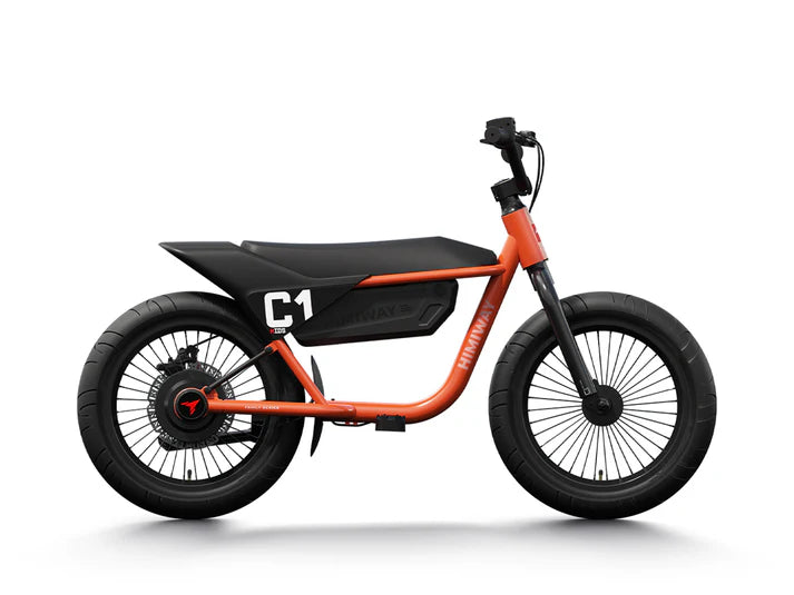 Himiway C1 | Kids Electric Bike | 350W Brushless Gear Motor | Heavy-Duty Aluminium Kickstand