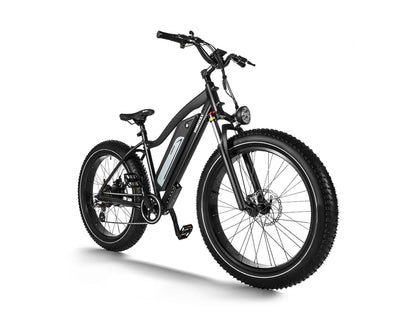 Himiway D3 (Cruiser) | Long Range Fat Tire Electric Bike | Range 35~60 Miles | Heavy-Duty Aluminium Kickstand