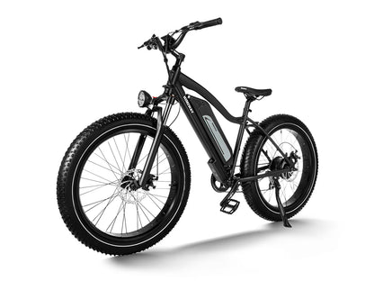 Himiway D3 (Cruiser) | Long Range Fat Tire Electric Bike | Range 35~60 Miles | Heavy-Duty Aluminium Kickstand