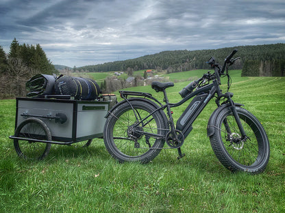 Himiway D3 (Cruiser) | Long Range Fat Tire Electric Bike | Range 35~60 Miles | Heavy-Duty Aluminium Kickstand