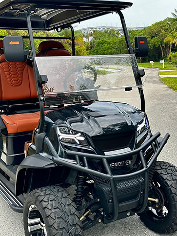 VENOM EV THE "D" MODEL GOLF CART