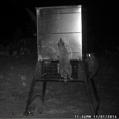 ASF Stand & Fill Broadcast Feeder | Capacity 600lb | Width 41" inches