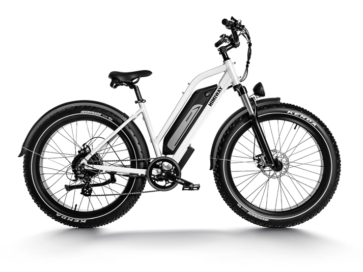 HIMIWAY Zebra Premium All-terrain Electric Fat Bike | 750W | 48V 20Ah Battery