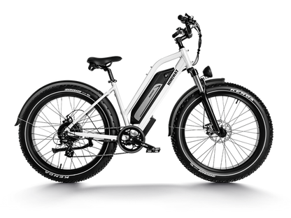 HIMIWAY Zebra Premium All-terrain Electric Fat Bike | 750W | 48V 20Ah Battery